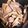 ♬あじさいのレシピ♬'s cooksnap of when they made こんにゃくとごぼうの煮物.