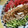 bleumer's cooksnap of when they made ほったらかし 簡単 美味しい 棒々鶏.