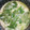 シビリキン's cooksnap of when they made うちの茶碗蒸し.