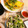 mack♪♪♪'s cooksnap of when they made エビの生春巻き.