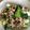 クックAMO's cooksnap of when they made チンゲン菜と挽肉の塩炒め.