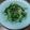 aymsnow's cooksnap of when they made 簡単！水菜のシャキシャキごまあえ.
