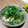 クックI7I5L1☆'s cooksnap of when they made ＊サッパリとした～えのきのおろし和え＊.