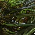 クックZTZ10H☆'s cooksnap of when they made 簡単シャキシャキネバネバわらびのおひたし.