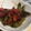 およそ's cooksnap of when they made タコとししとうの唐辛子炒め.