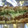 aizu_po's cooksnap of when they made 簡単！薄揚げで納豆チーズ焼き.