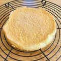ボブナナ's cooksnap of when they made 卵１個で簡単！ボトム用スポンジ.