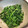 saki1010's cooksnap of when they made 醤油とごま油☆ほうれん草のお浸し.