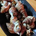 mpoo's cooksnap of when they made 灯台つぶ貝煮付け.