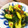 kinniko's cooksnap of when they made きゅうりのしょうゆ 漬け 簡単.