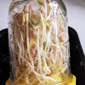 nikkijamie's cooksnap of when they made お家でモヤシ栽培.
