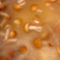 ぶす丸's cooksnap of when they made お味噌汁の定番なめこのお味噌汁.