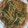 クックE8IHMF☆'s cooksnap of when they made 上海焼きそば風.