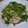 conn's cooksnap of when they made 豚しゃぶと水菜の納豆和え.