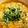 tomitomico's cooksnap of when they made 簡単ムダなし！！もつ鍋卵丼.