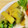 kotorinpi's cooksnap of when they made さつま芋のゴマ和え【作りおき】.