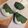 ごごんた's cooksnap of when they made 簡単！葉っぱまで食べられる柏餅.