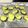 S72☆'s cooksnap of when they made 簡単！お弁当にも！ズッキーニのチーズ焼き.
