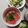 よちりん's cooksnap of when they made まぐろの漬け丼.