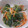 しぃーむ's cooksnap of when they made 副菜 簡単ほうれん草ともやしのナムル.