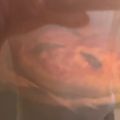 コハル1031's cooksnap of when they made 我が家のピザ★マルゲリータ♬.