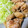 ariyuch's cooksnap of when they made 絶品！　うちのダンナのから揚げ♪.