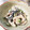さめぽよ's cooksnap of when they made ひじきと蓮根の簡単梅肉マヨ和え♪.