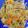 クックEDFT7L☆'s cooksnap of when they made 【下味冷凍】豚こまとごぼうのごま味噌漬け.