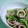 こひよこ's cooksnap of when they made ♪イカと水菜のささっと炒め♪.