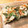 piyo26☆'s cooksnap of when they made 大根なのにもっちもち！大根もち.