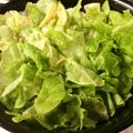 ベティ３'s cooksnap of when they made レタスのごま油ドレッシングサラダ.