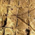 あの子のねえね's cooksnap of when they made ☆ガリガリ食感☆おから納豆チップス.