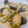 しょうの覚書's cooksnap of when they made こく旨！ごはんがすすむ鶏のみそ炒め.
