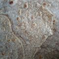 豆大福♪'s cooksnap of when they made 時短簡単！小麦粉（全粒粉）のトルティーヤ.