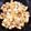 きっちんシヨップ's cooksnap of when they made 鶏ひざ軟骨の辛味噌炒め！.