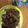 クック3Q10BC☆'s cooksnap of when they made 大根と挽肉のカレー(≧▽≦).