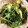 クックZ8J4H4☆'s cooksnap of when they made 水菜と油あげの煮浸し.
