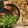 torororo〆's cooksnap of when they made ベイクドポテト.