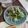 もりりんの森のちこ's cooksnap of when they made 水菜とナッツのマヨポンサラダ.
