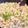 yoga_run's cooksnap of when they made ✿ひき肉キャベツ(u‿u✿).