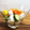 horseland's cooksnap of when they made 簡単！我が家のピクルス.