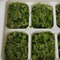ひぃちゃんひー's cooksnap of when they made 【離乳食 中後期】さやえんどう 冷凍保存.