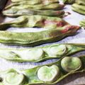 洋帆空羽's cooksnap of when they made オーブンでそら豆.