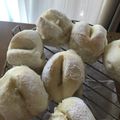 クックUCL24D☆'s cooksnap of when they made プチソフトフランス.