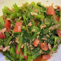 ZoeKana＊'s cooksnap of when they made トマトと小松菜のめんぽんツナおかか和え.