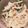 クックQ1UMSY☆'s cooksnap of when they made おかずの定番！ポテトサラダ.