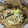 ケメラルド's cooksnap of when they made 鮭のちゃんちゃん焼き風ホイル蒸し(^^).