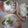 june☆panna's cooksnap of when they made 新玉ねぎとサバ水煮缶サラダ.