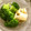 2michi's cooksnap of when they made 数の子のワサビマヨネーズ和え.