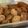 やじりつ's cooksnap of when they made 失敗しない！トロトロ豚の角煮♡.